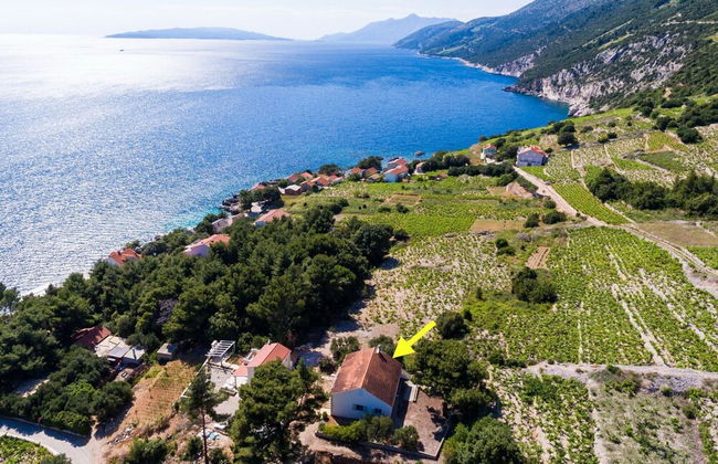 Holiday Home Blue Vineyard- Three Bedroom House With Terrace and Sea View - Photo 16