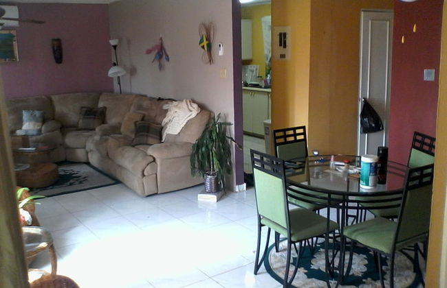 New Kingston Guest Apartment III - Foto 7