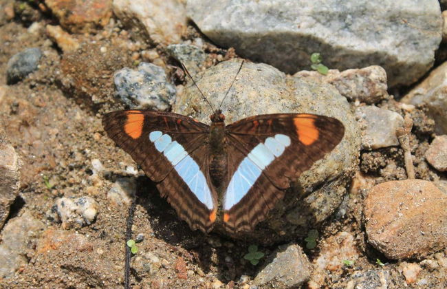 Entreaguas Natural Reserve Day Trip - Photo 3
