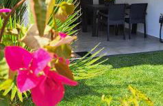 The Candy House - Foto 12