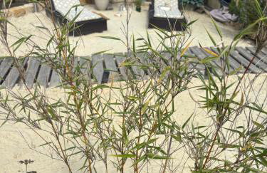 Ferienwohnung Sorpesee - Photo 1