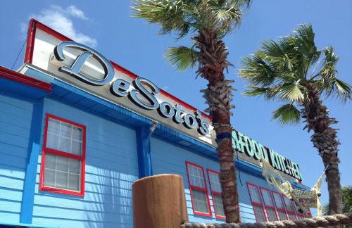 The Nautilus - Foto 42