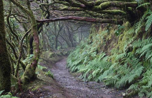 Sea La Vie Tabaiba - Piscina, Parking & Tenis - Foto 43
