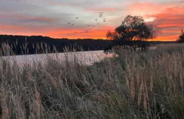 Cottage an der Elbe Tespe Hamburg - Foto 23
