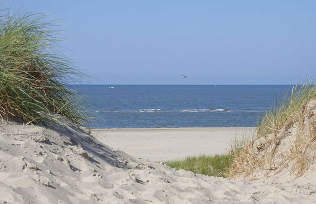 Dandelion Modern Retreat - Foto 17