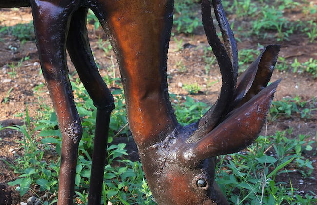 Grace of Africa - Photo 56