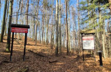 Apartamenty Gajewscy - Foto 38