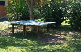 Tropical Paradise - Foto 28