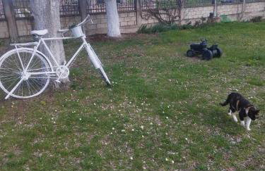 My Flowers - Foto 38