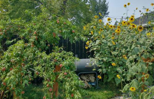 Liberty Park mini-studio - Foto 10