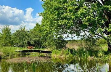 Apartamenty i Winnica - Siedlisko Na Polanie - Foto 73