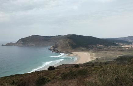 El Pommier - Foto 10