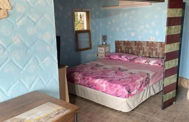 Mini Ottema - Photo 7