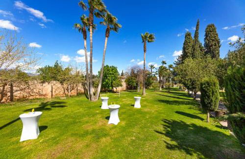 Es Moli dels Reis - Foto 37