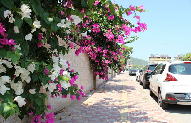 Tebriz Apart Hotel - Foto 75