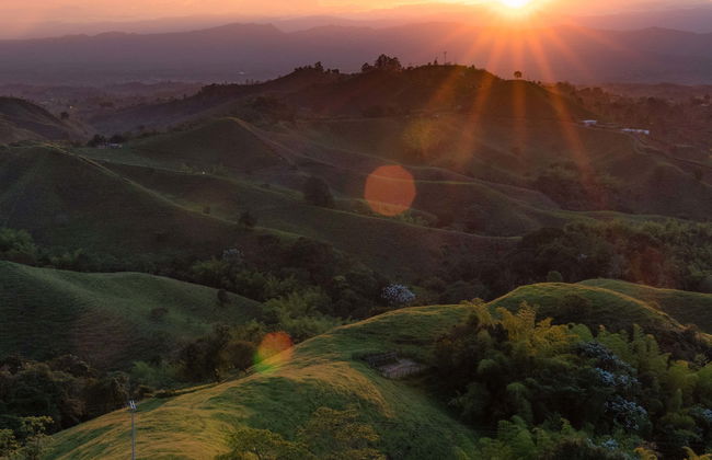 Calarcá Coffee Bike Tour - Photo 5