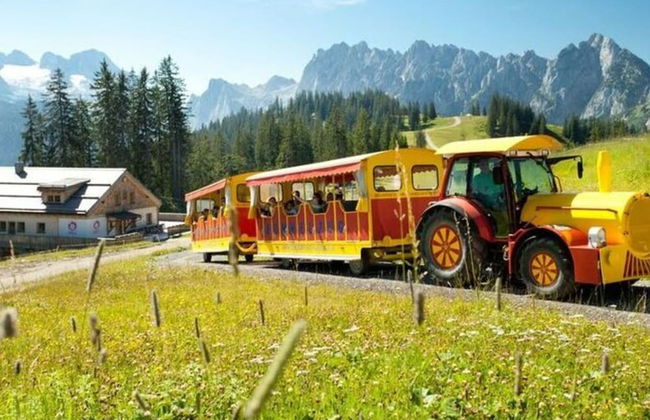 Skiblickhaus Comfortable Holiday Residence - Foto 31