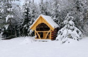 Ferienhaus am Bächle - Foto 28