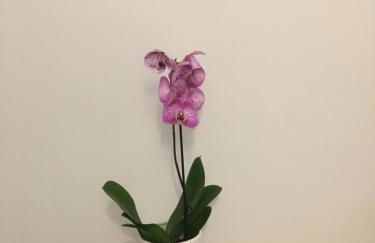 Siracusa Vacanze - Foto 30