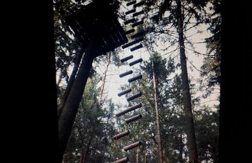 Ferienwohnungen Herbst - Photo 13