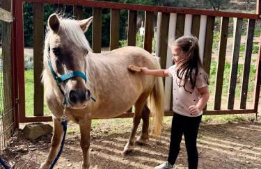 Agriturismo Fattoria Di Maiano - Foto 10