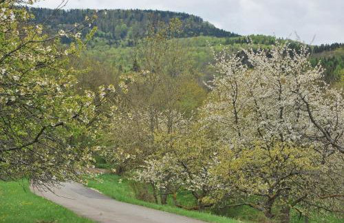 Ferienwohnungen beim Imker - Foto 6