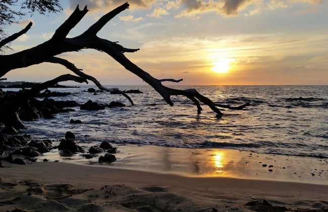 Hale Hamakua 3 Bedroom Home by RedAwning - Foto 21