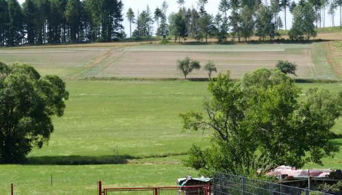 Zum Wiesengrund Blecher - Foto 2