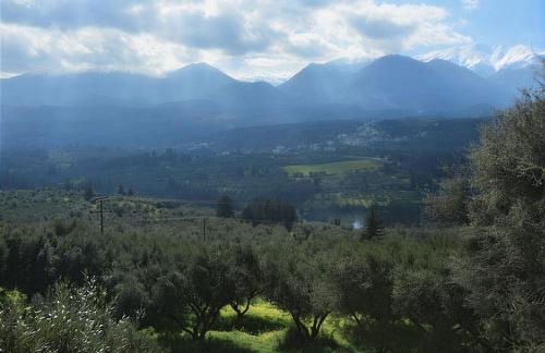 5-bedroom Country House in Crete - Olive Grove Retreat - Foto 27