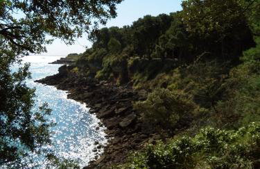 Nid Douillet - Foto 25