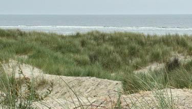 Ihr Zuhause in Ostfriesland - Foto 2