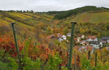 Wengertshaus - Foto 26