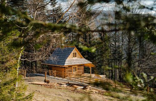 Sopki Stopki Polana Wspólna - Foto 20