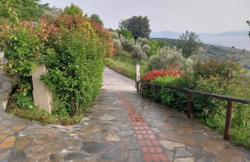 Panorama Studio Afetes - Photo 15