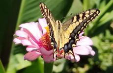 House of sunset 3 - Photo 32