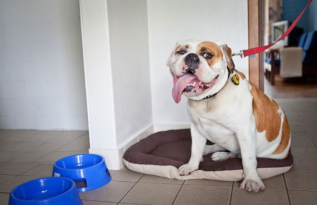 Emu Beach Chalets - Photo 47