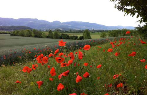 Corte Monticello - Foto 21