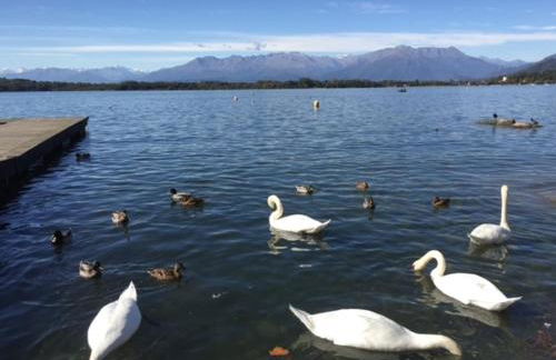 A CASA DI SISSI - Foto 49