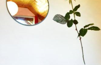 Apartman Jelena - Foto 34