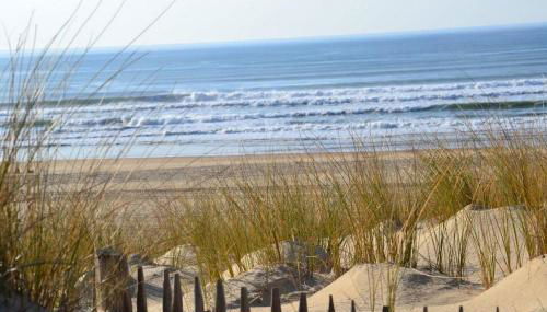 les resiniers - Foto 2