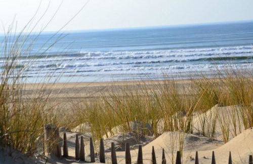 les resiniers - Foto 2