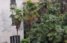 Casa Posta 3 - Foto 7