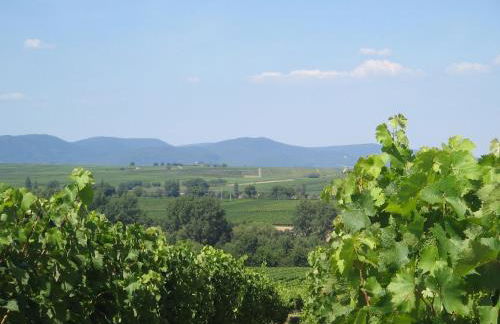 Ferienwohnung Kirschblüte - Foto 19
