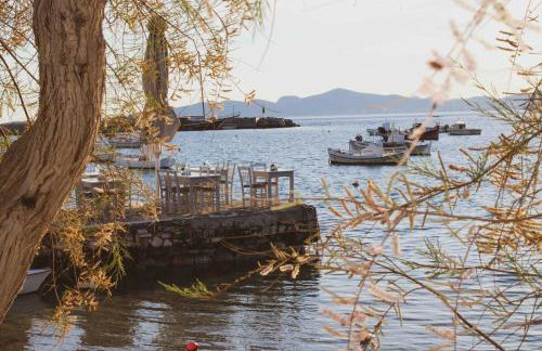 Lizzy's Escape 1st floor - Foto 25