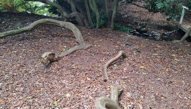 6 Person Holiday Home in Saeby-by Traum - Foto 4