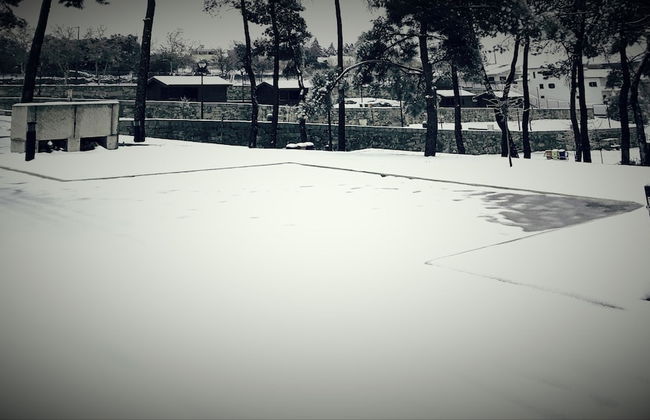 Douro Camping - Foto 19