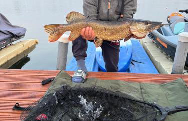 Mulberry Heaven - Clearwater - Foto 36