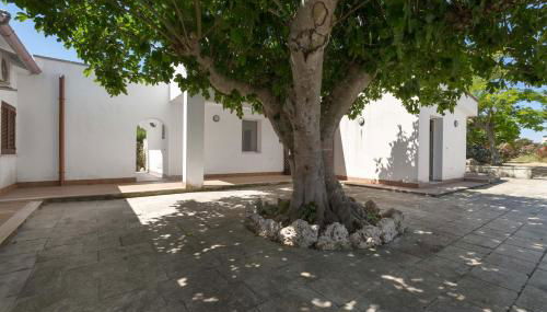 SoleDelSud by BarbarHouse - Foto 3, Garden