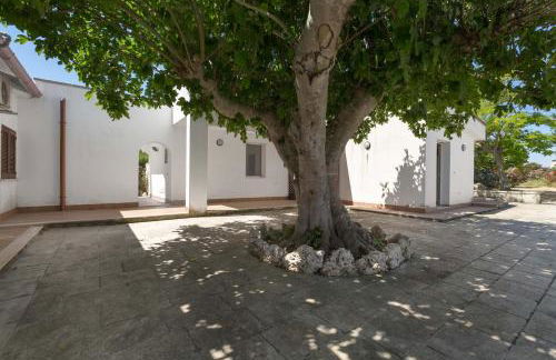 SoleDelSud by BarbarHouse - Foto 3