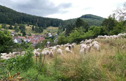 Haus Marta - Photo 55